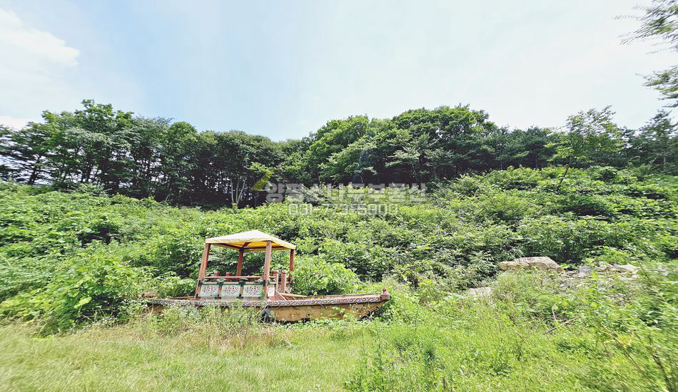 양평군 용문면 연수리 자연림 임야 개발부지/계획관리40%