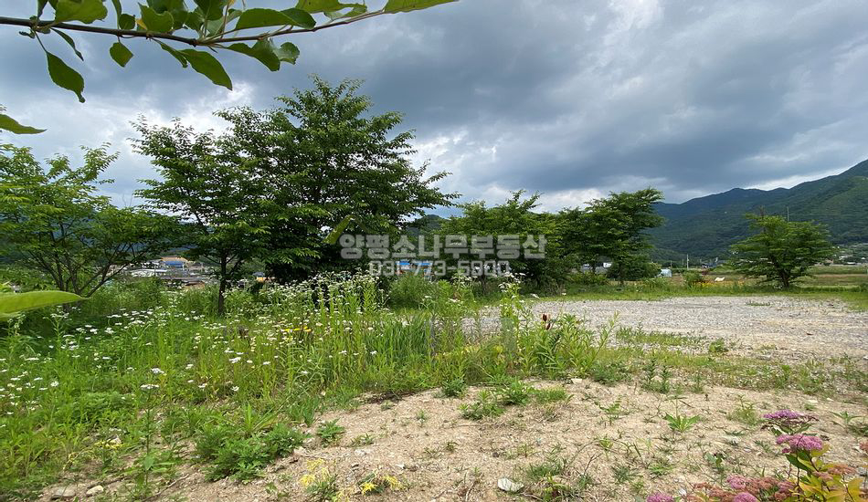 양평군 옥천면 용천리 보강토 토목 주택지