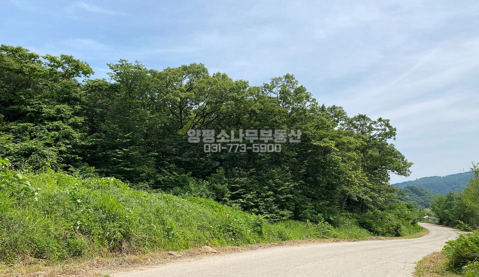양평군 강상면 세월리 한적한 2차선변 개발임야
