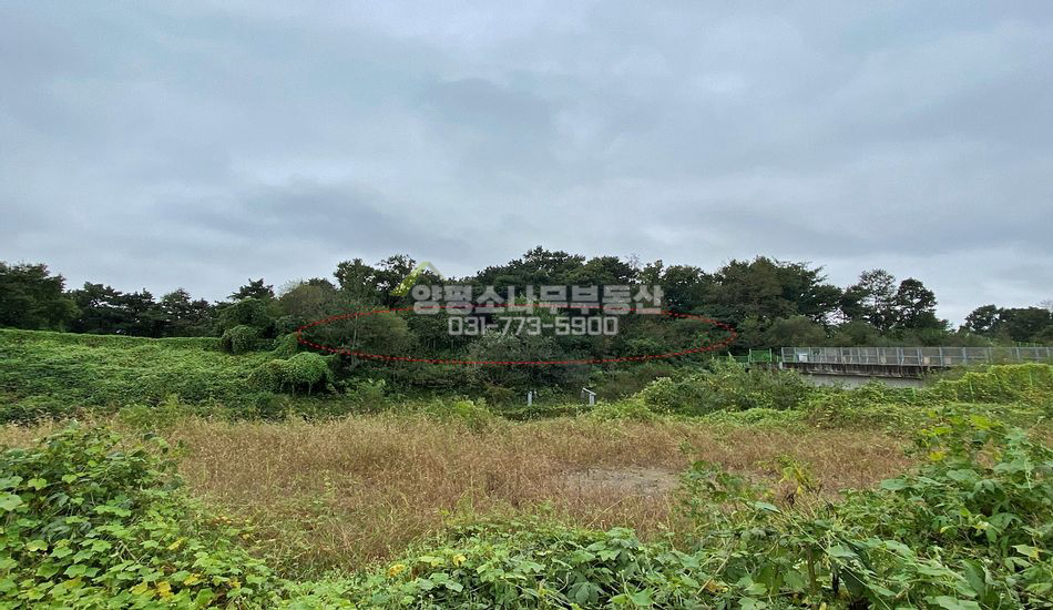 양평군 양평읍 도곡리 철길인근 근생 허가 부지/자연림