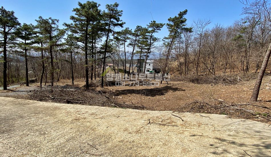 양평군 양평읍 백안리 막다른 진입로 끝 주택지