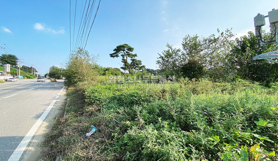 양평군 옥천면 옥천리 2차선 대로변 계획관리 근생부지