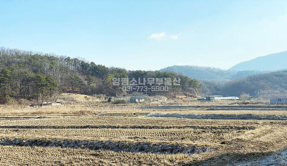 양평군 개군면 불곡리 2차선 도로변 진흥구역 농지