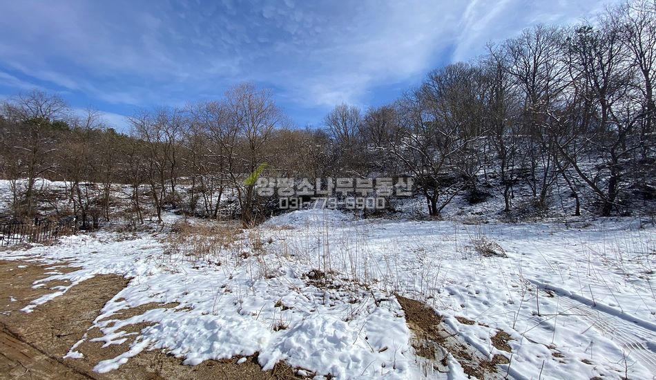 양평군 양동면 쌍학리 양동역 도보5분/완만한 임야