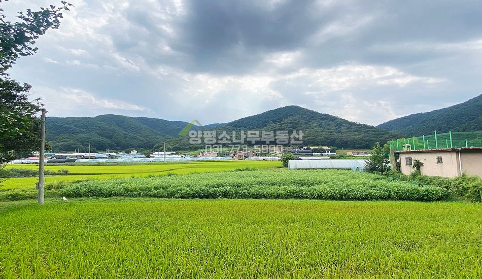 양평군 청운면 비룡리 흑천변 주말농장