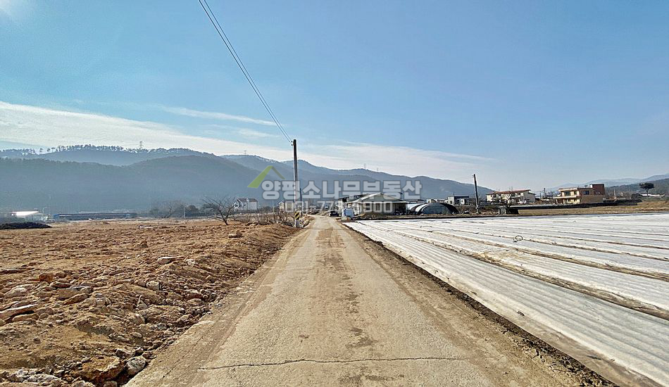 양평군 강상면 세월리 완전평지 주택지/분할가능