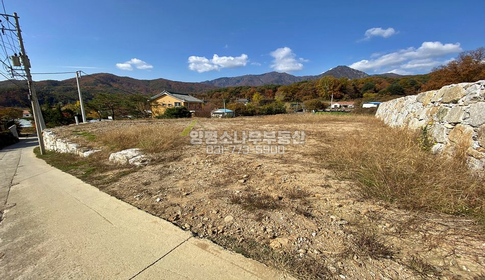 양평군 용문면 신점리 평지 산세좋은 마을 내 부지