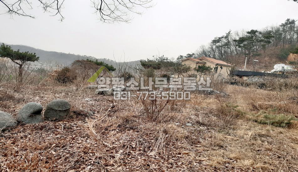양평군 옥천면 용천리 용천리 단지형 남향 산조망/토목완료