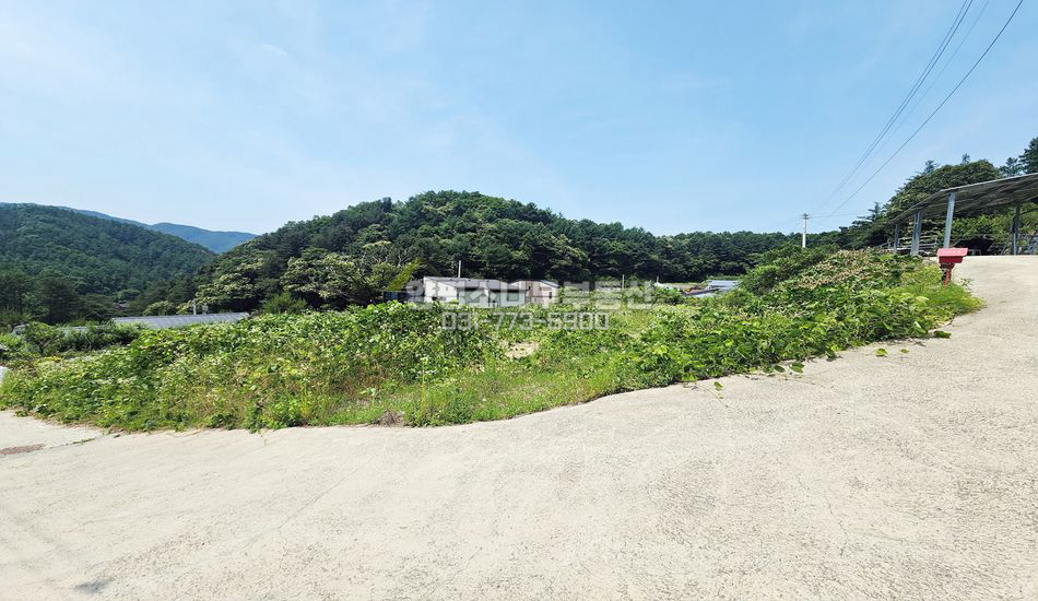 양평군 청운면 신론리 산세좋은 곳 남향 주택지