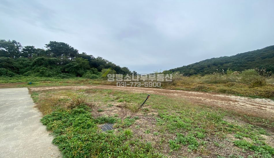 양평군 옥천면 아신리 사방트여 있는 마을 상단부 토지