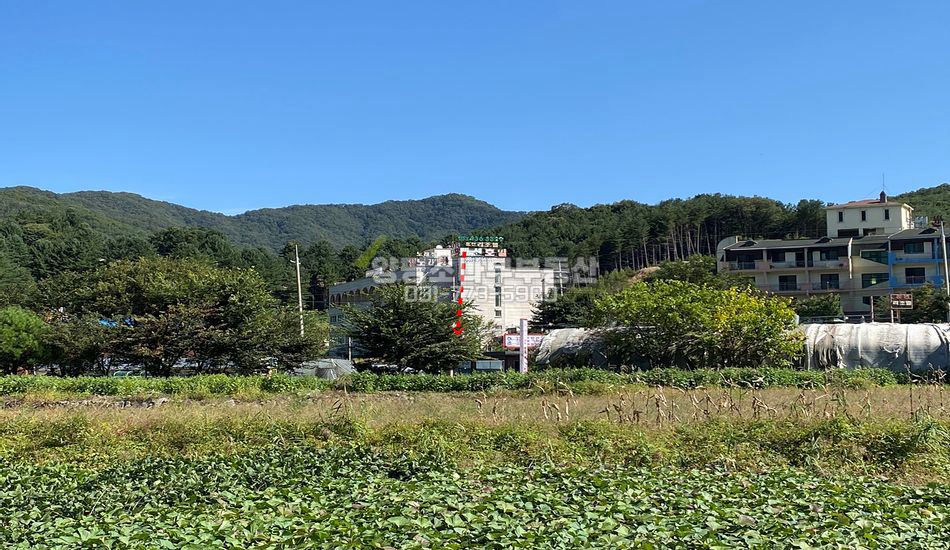 홍천군 서면 굴업리 지방도 인근 진흥구역 토지