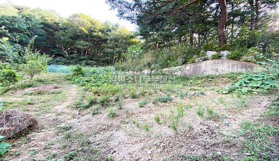 양평군 서종면 노문리 국유림 접한 전망좋은 주택지