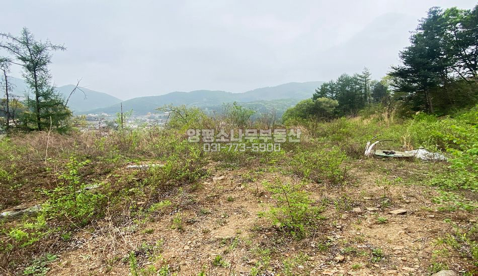양평군 서종면 수능리 택지개발 활발한곳