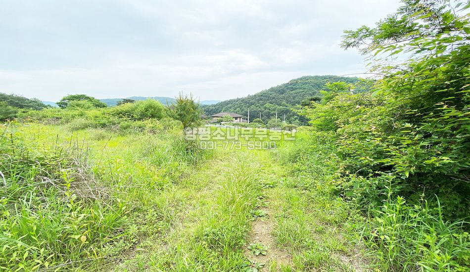 양평군 단월면 봉상리 마을 끝자락 임야/맹지/묫자리
