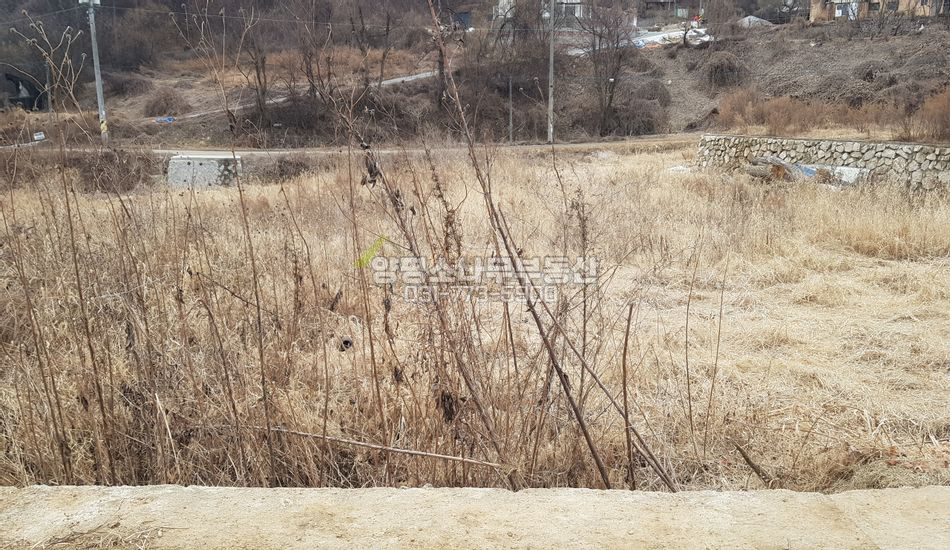 양평군 단월면 향소리 1억대 주말농장/주택지