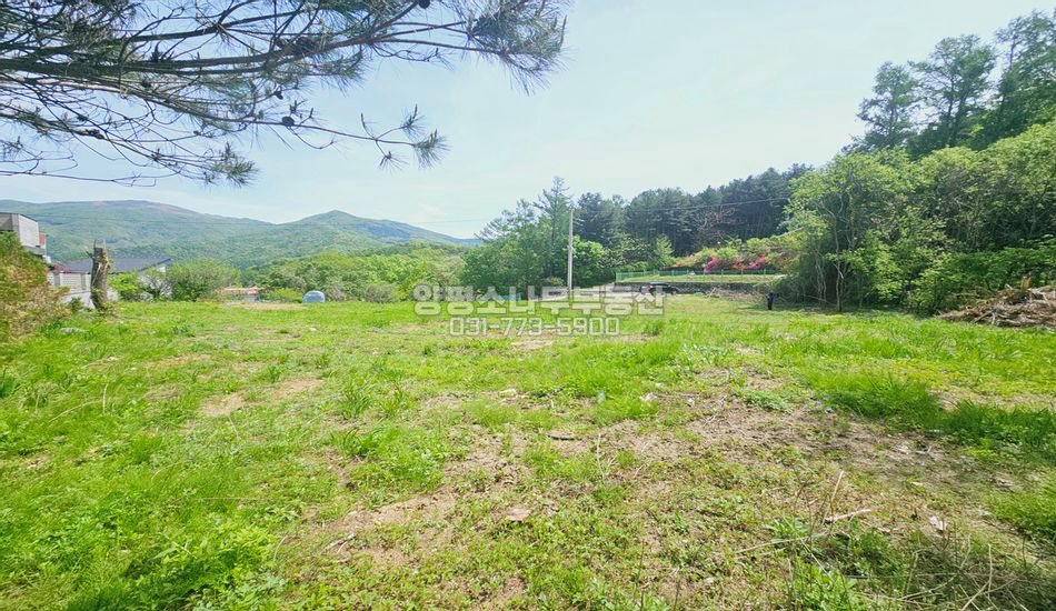 양평군 옥천면 신복리 아늑한 동네 산자락 주택지