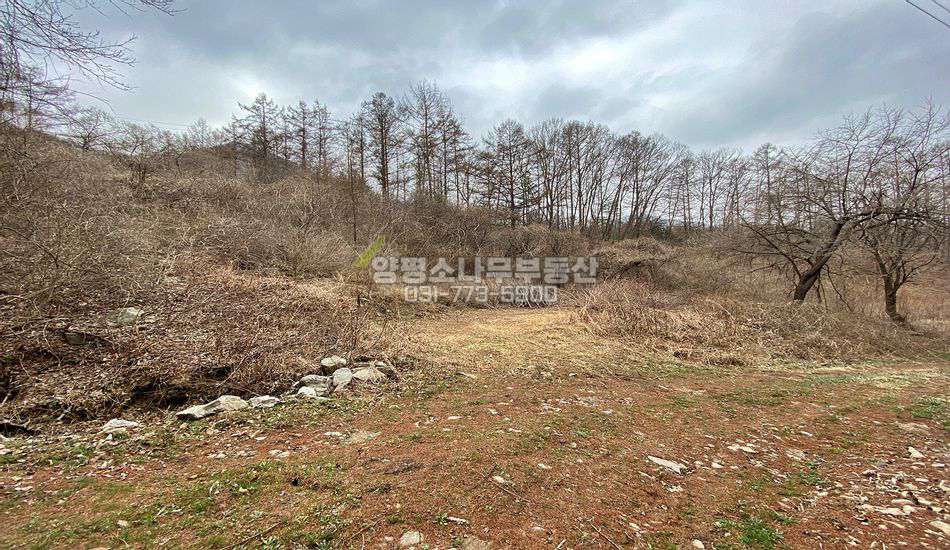 양평군 단월면 산음리 깊숙한곳 구거접한 부지