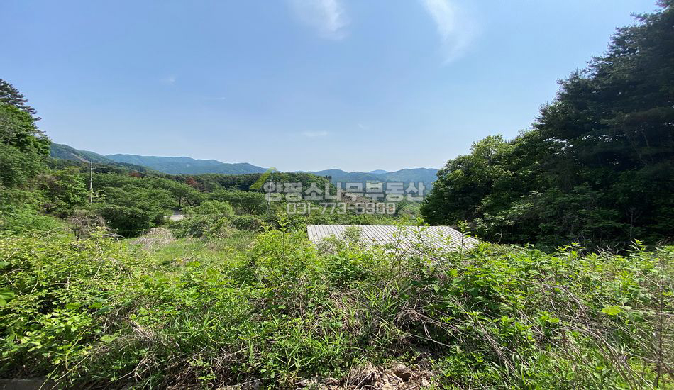 양평군 서종면 정배리 대로변 경사지 임야