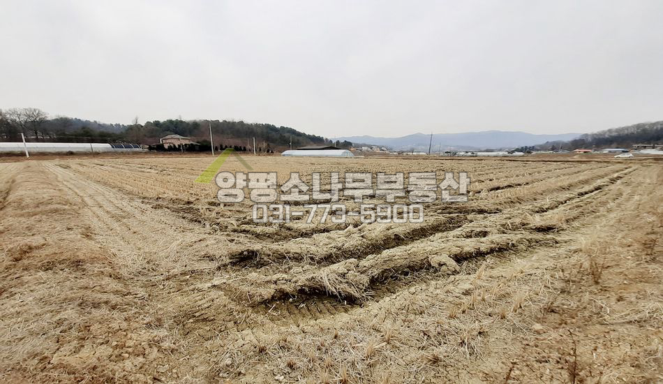 양평군 양평읍 창대리 2차선변 진흥구역 논