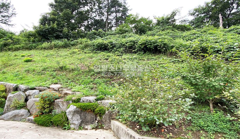 양평군 양평읍 대흥리 2차선변 개발부지