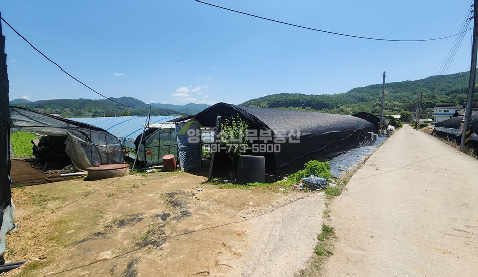양평군 용문면 광탄리 경지정리된 진흥구역 농지