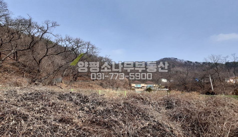 양평군 용문면 연수리 산자락 남향 토지