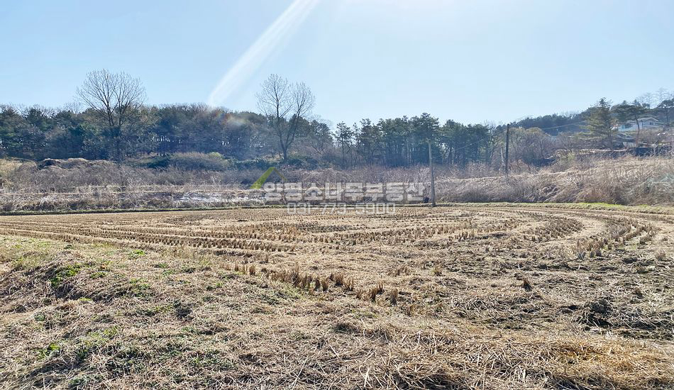 양평군 양평읍 창대리 접근성 좋은 진흥구역 토지 