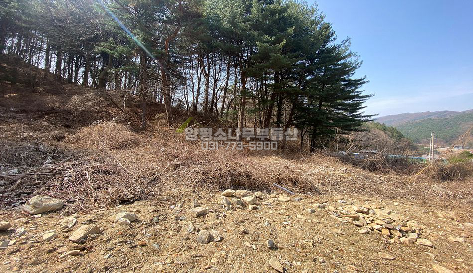 양평군 서종면 서후리 분할하기 좋은 주택지