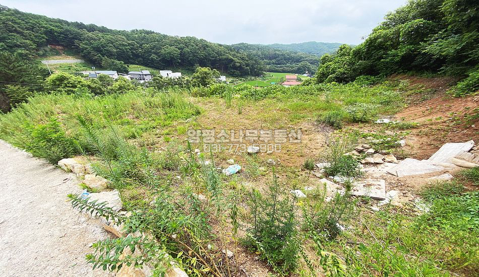 양평군 양서면 도곡리 마을 끝 토목완료 주택부지