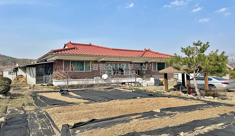 양평군 지평면 망미리 마을 내 평지 구옥