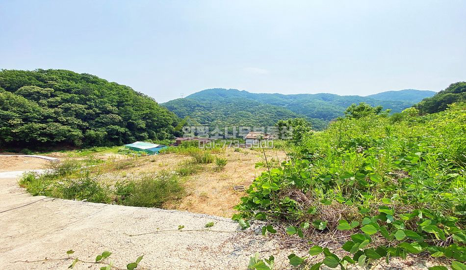 양평군 양서면 목왕리 단지 상단 주택지