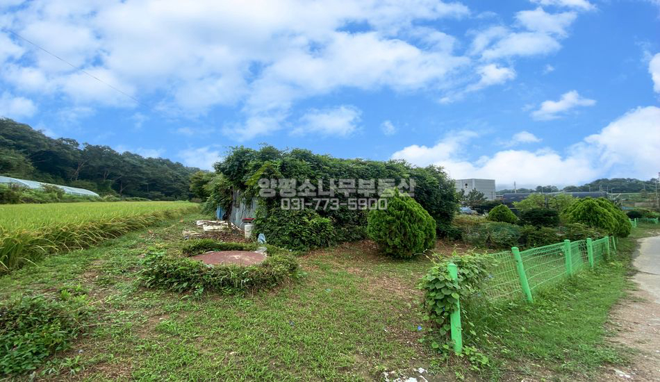 양평군 옥천면 아신리 아신역 인근 농지