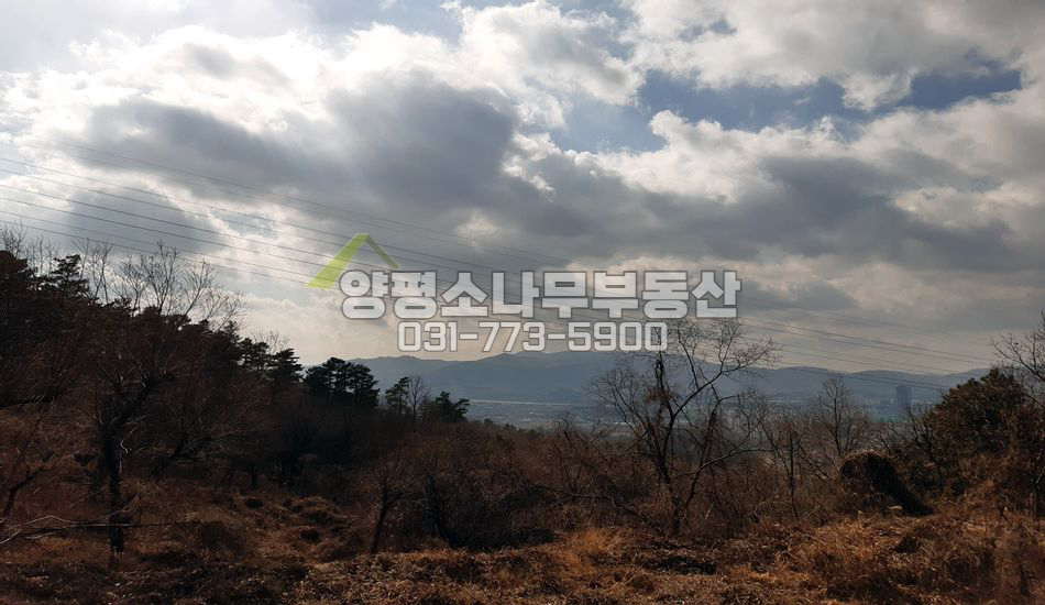 양평군 양평읍 백안리 쉬자파크 인근 남향토지