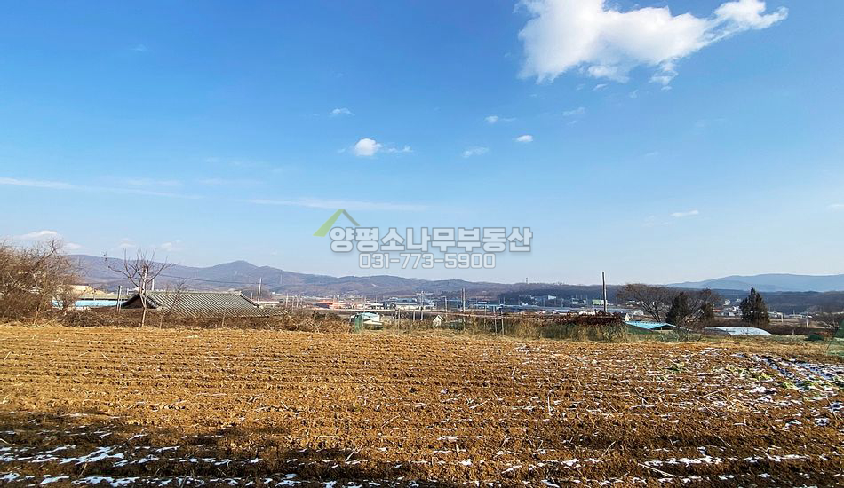 양평군 지평면 수곡리 개발 용이한 야트막한 임야