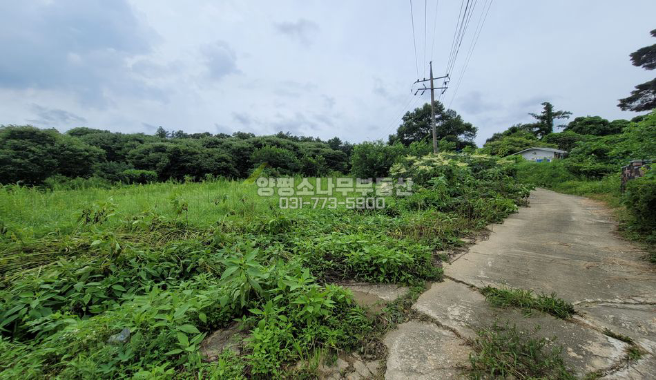 양평군 강상면 송학리 마을 안쪽 한적한 주택지