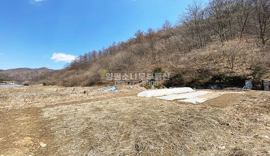 양평군 청운면 여물리 국유림 접한 농지/실면적 500평