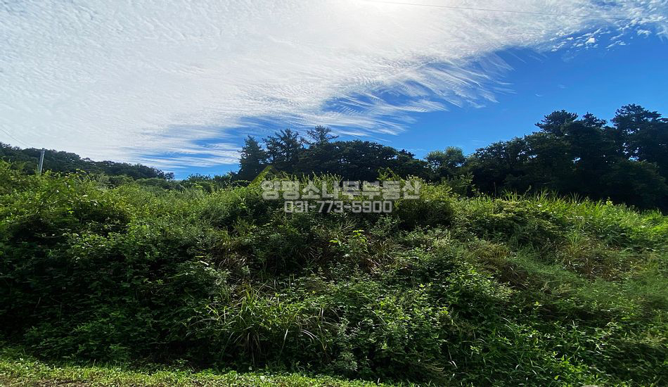 양평군 지평면 망미리 마을상단 농막부지/주택지