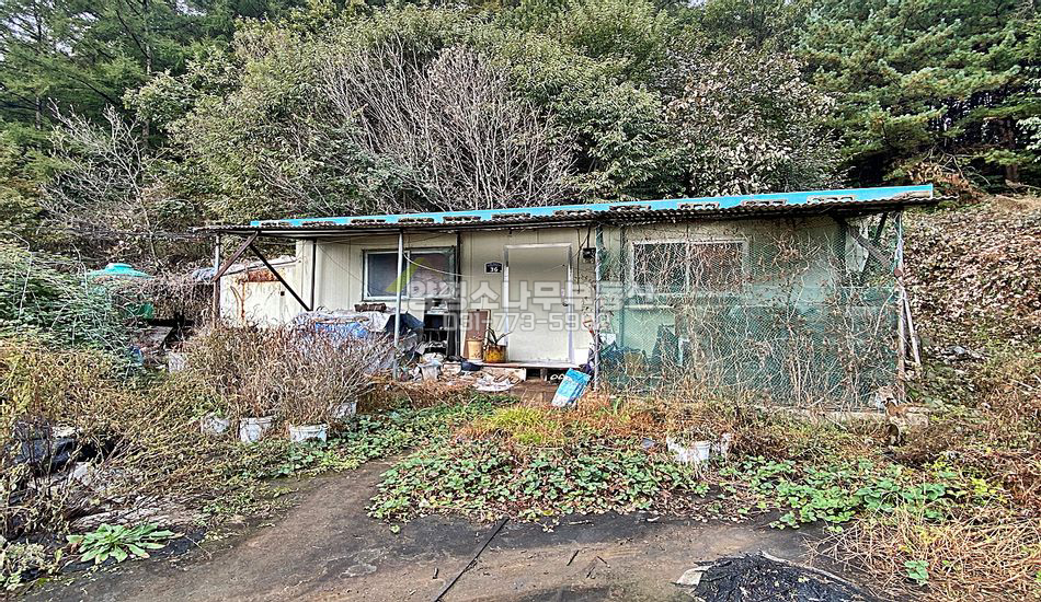 양평군 단월면 향소리 마을초입 산자락 주택지