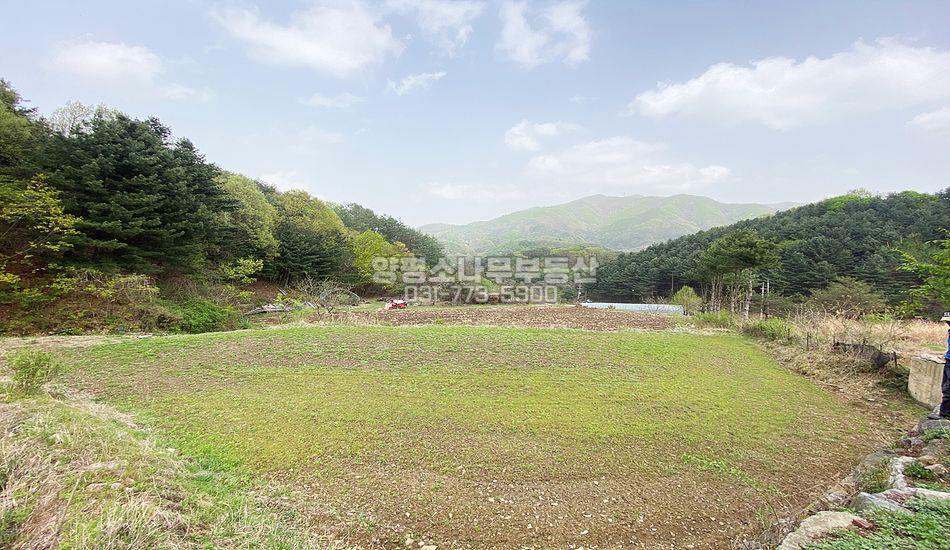 양평군 강하면 항금리 깊은 산속 농지/맹지