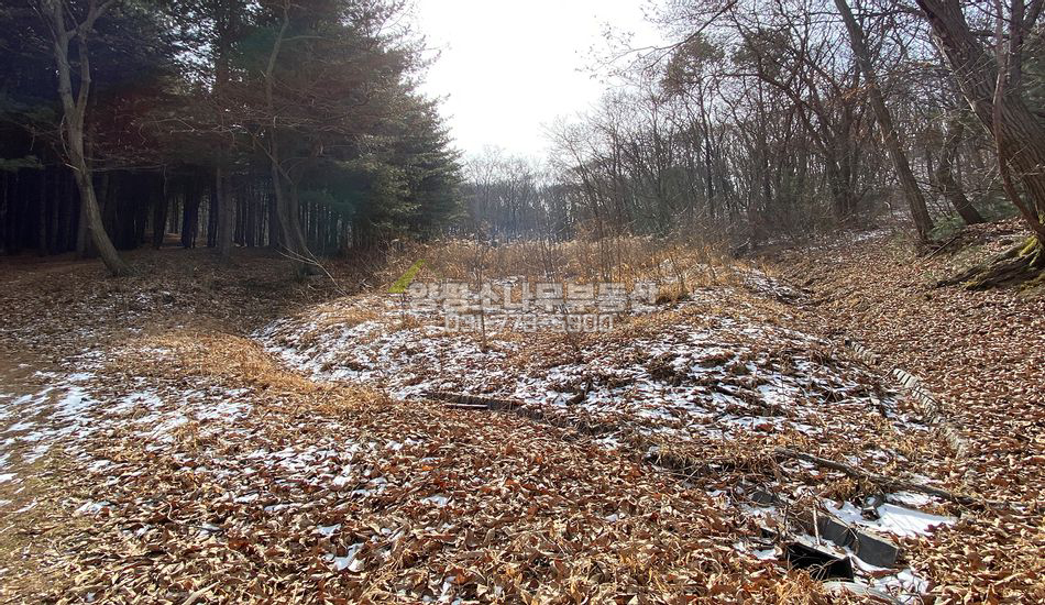 양평군 강하면 전수리 마을끝 도보가능 맹지