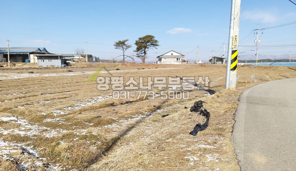 양평군 개군면 앙덕리 남한강 산책로 인근/분할가능