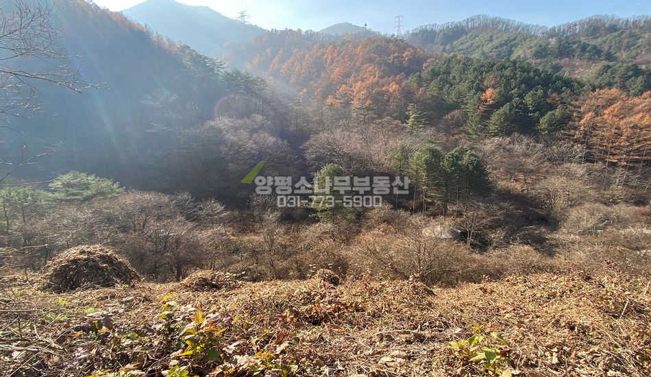 양평군 단월면 산음리 2차선변 계획관리