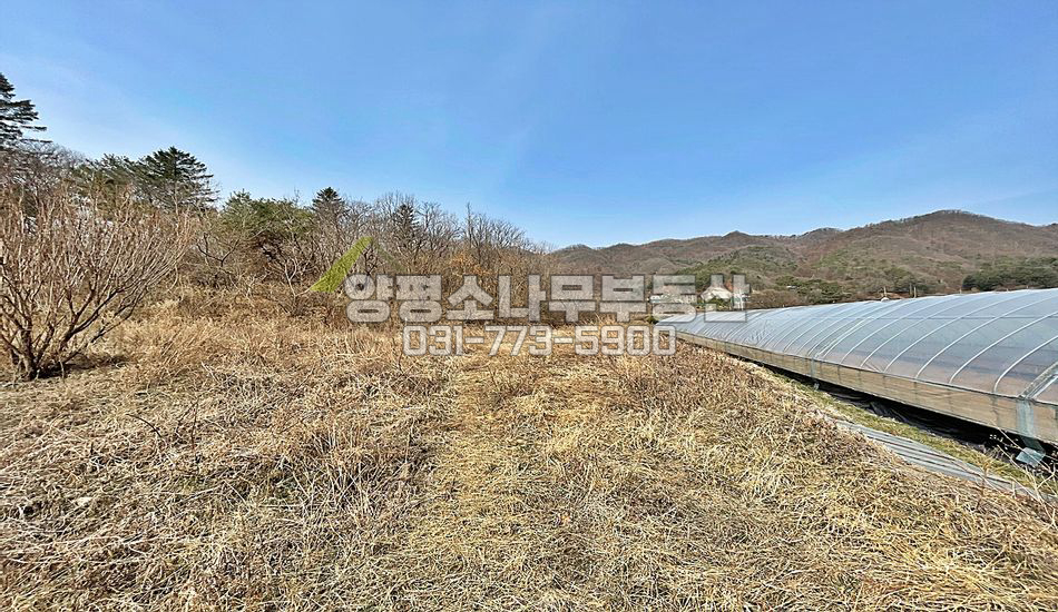 양평군 양동면 고송리 마을안쪽 저렴한 주택지/계획관리