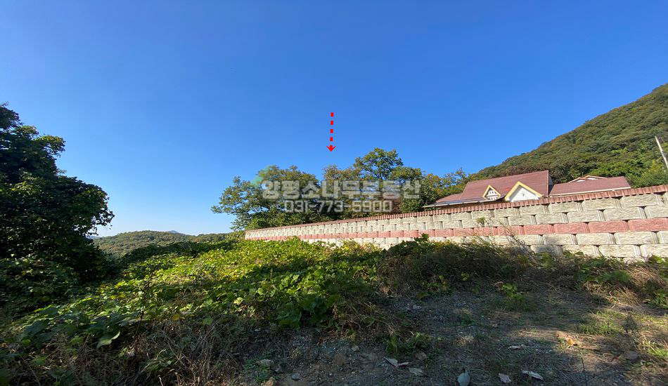 양평군 강하면 항금리 완경사 개발부지 임야