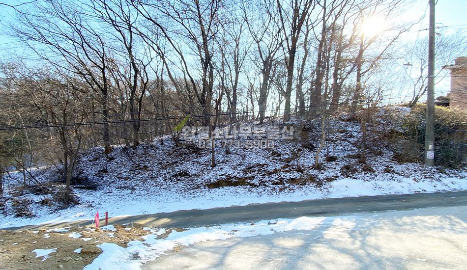 양평군 개군면 공세리 자연림 주택지