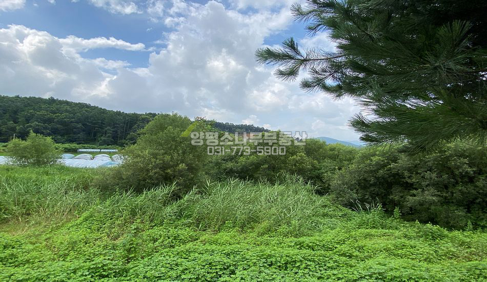 양평군 양평읍 봉성리 원덕역 도보5분 진흥구역 토지