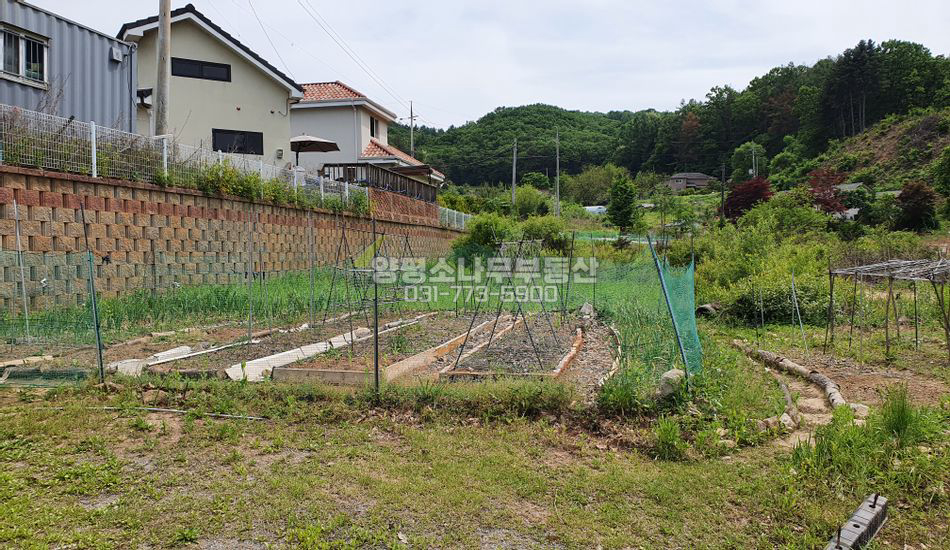 양평군 강하면 왕창리 마을안쪽 평지 계획관리