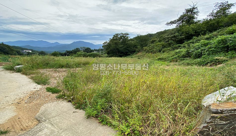 양평군 용문면 망능리 토목완료 평편한 부지