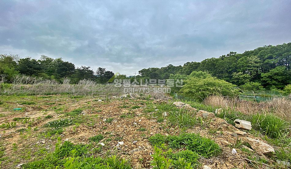 양평군 양평읍 창대리 평지 남향/양평역 3km