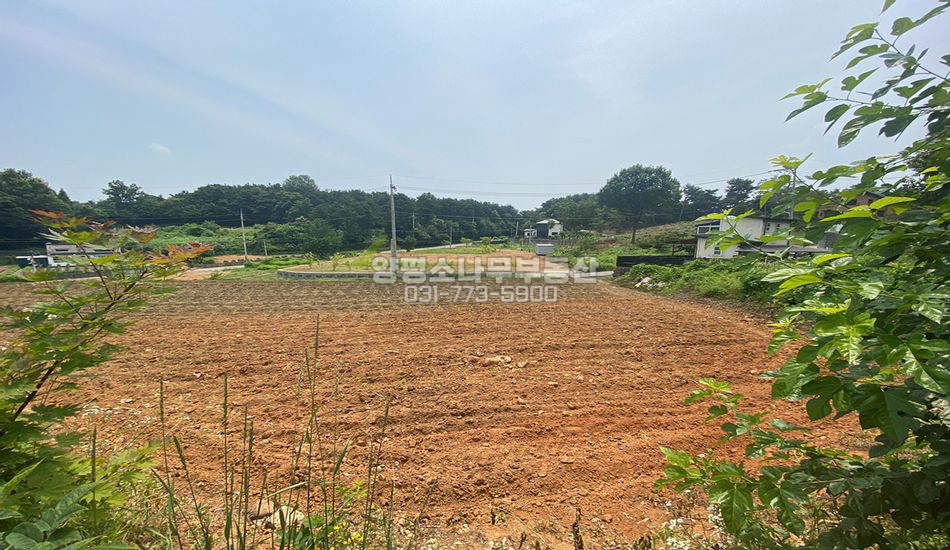 양평군 양평읍 회현리 편안한 주택지
